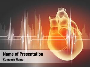 Heart virtual human cardiogram 