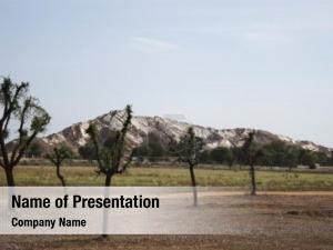 Range, tree mountain ahmedabad, gujarat,