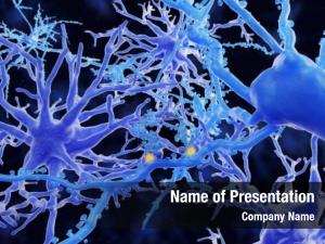 Nervous Tissue PowerPoint Template