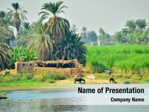 Rural nile riverside life, egypt
