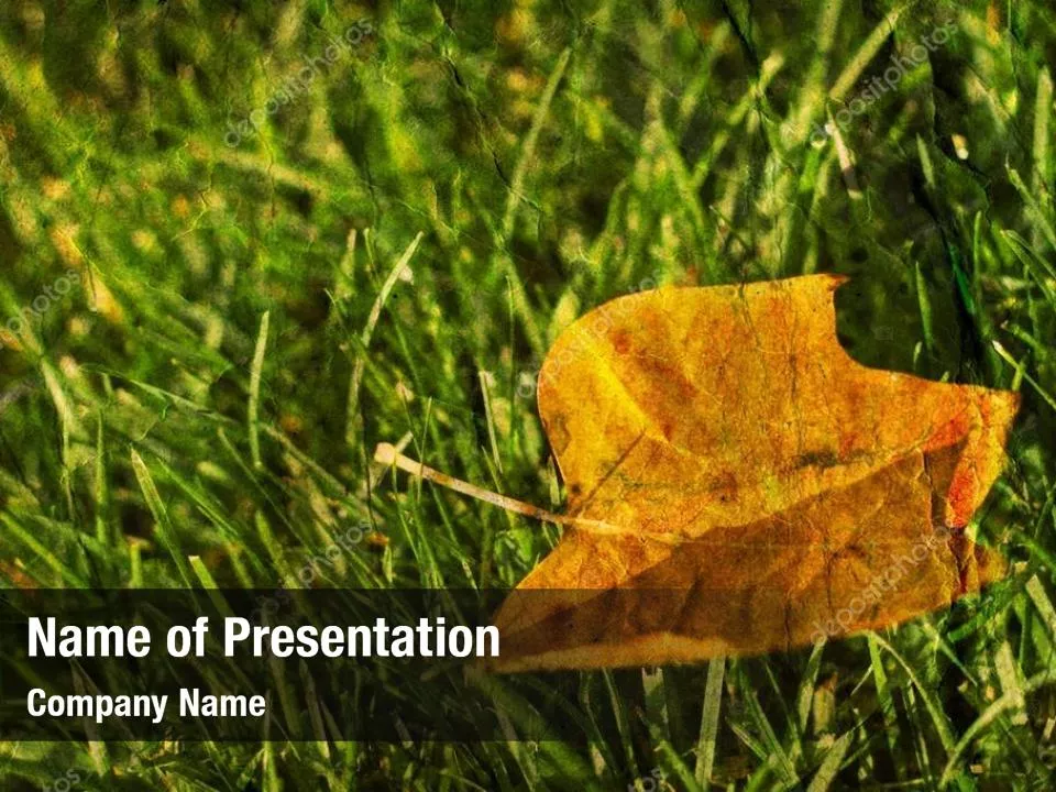 Yellow Leaf In Green Grass