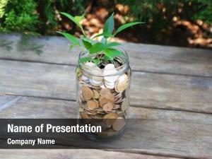 Plant and Coins PowerPoint Templates - Plant and Coins PowerPoint ...