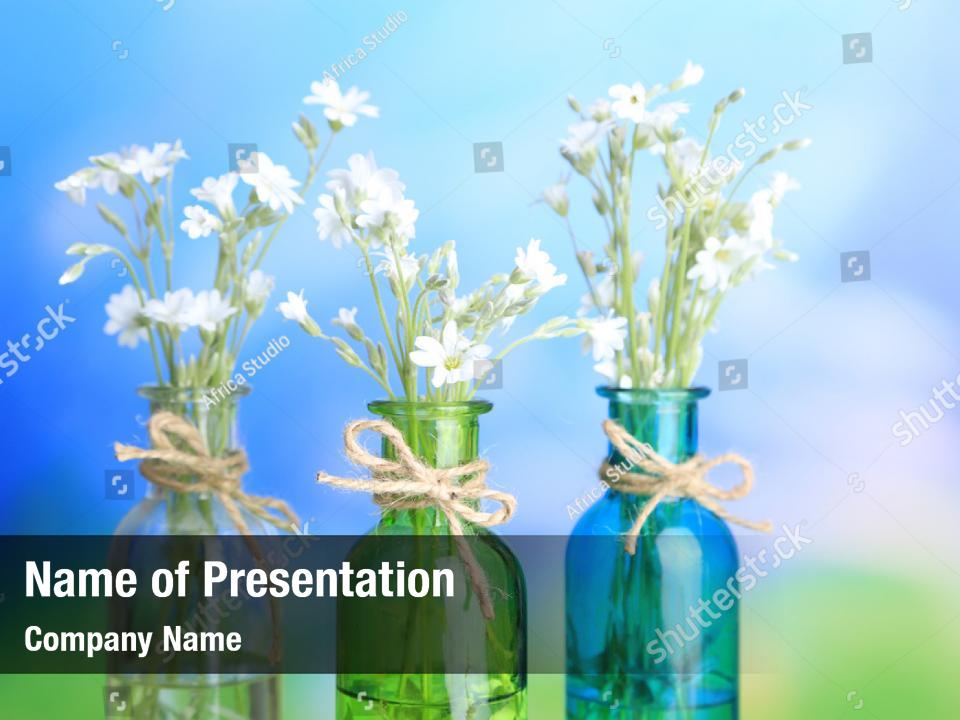 Chamomile glass bouquet wildflowers PowerPoint Template - Chamomile ...