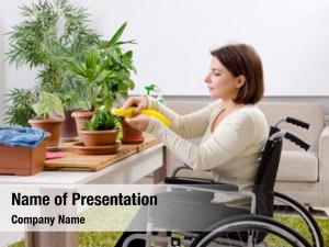 Cultivating woman wheelchair houseplants 