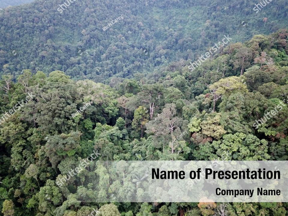 environment-rainforest-powerpoint-template-powerpoint-template