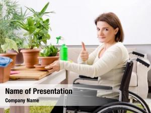 Cultivating woman wheelchair houseplants 
