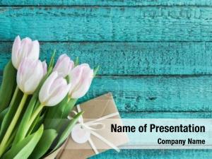 Tulips light pink bouquet envelope