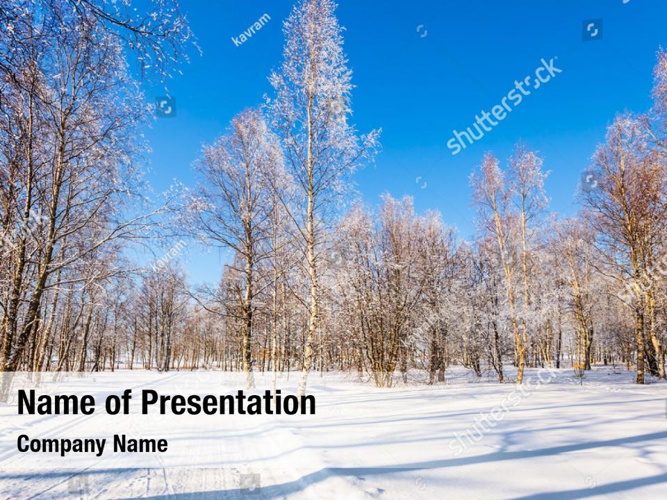 Arctic circle sunny frosty day PowerPoint Template - Arctic circle ...