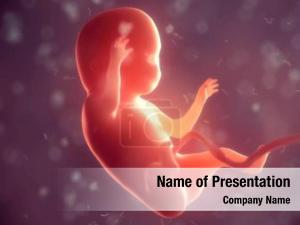 Inside human embryo mother body
