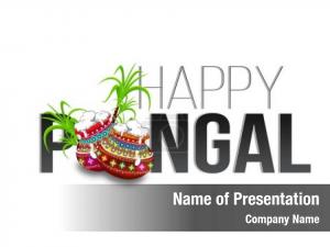 Sugarcane holiday happy pongal