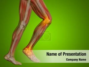 Man conceptual human anatomy health PowerPoint Template