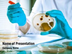 Agar germs growing plate laboratory