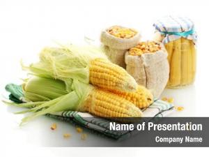 500 Squaw Corn Powerpoint Templates Powerpoint Backgrounds For Squaw Corn Presentation