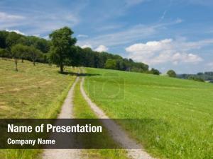 Road, summer landscape grass tree