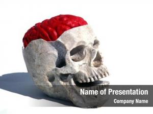 Brain human skull  