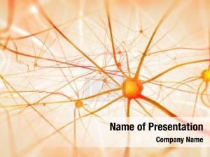 Neurons  