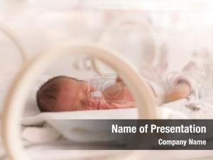 Newborn premature