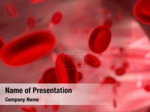  PowerPoint Template