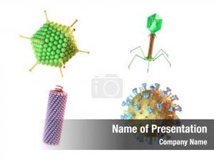 Based virus classification shape 