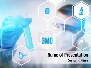 Modified gmo genetically organism research PowerPoint Template