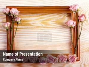 Dry frame beautiful flowers frame