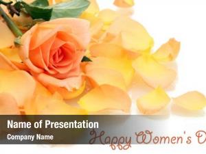 Rose Petals PowerPoint Templates - Rose Petals PowerPoint Backgrounds ...