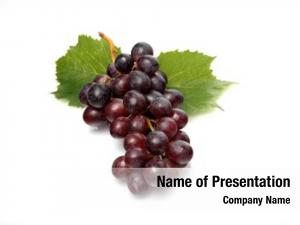 Grapes PowerPoint Templates - Grapes PowerPoint Backgrounds, Templates ...