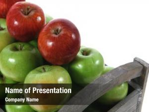 apple ppt presentation 2019