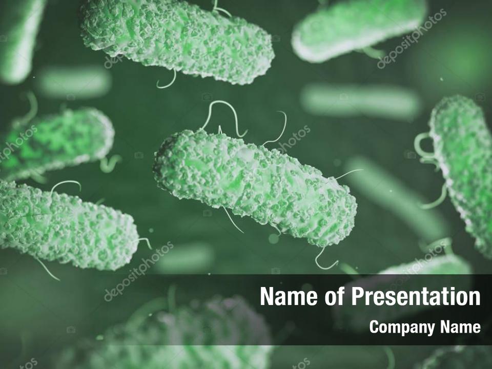 Microorganisms enterobacterias