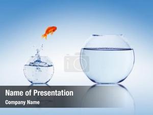  PowerPoint Template