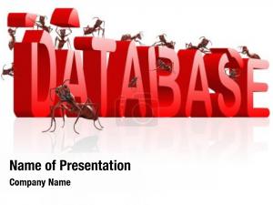 Ants database building creating big