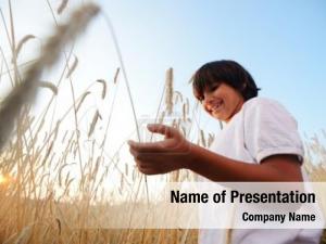 Field kid wheat holding grain