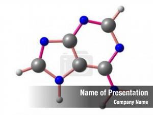 Two adenine one purine nucleobases,