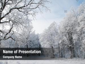 Landscape and Trees PowerPoint Templates - Landscape and Trees ...