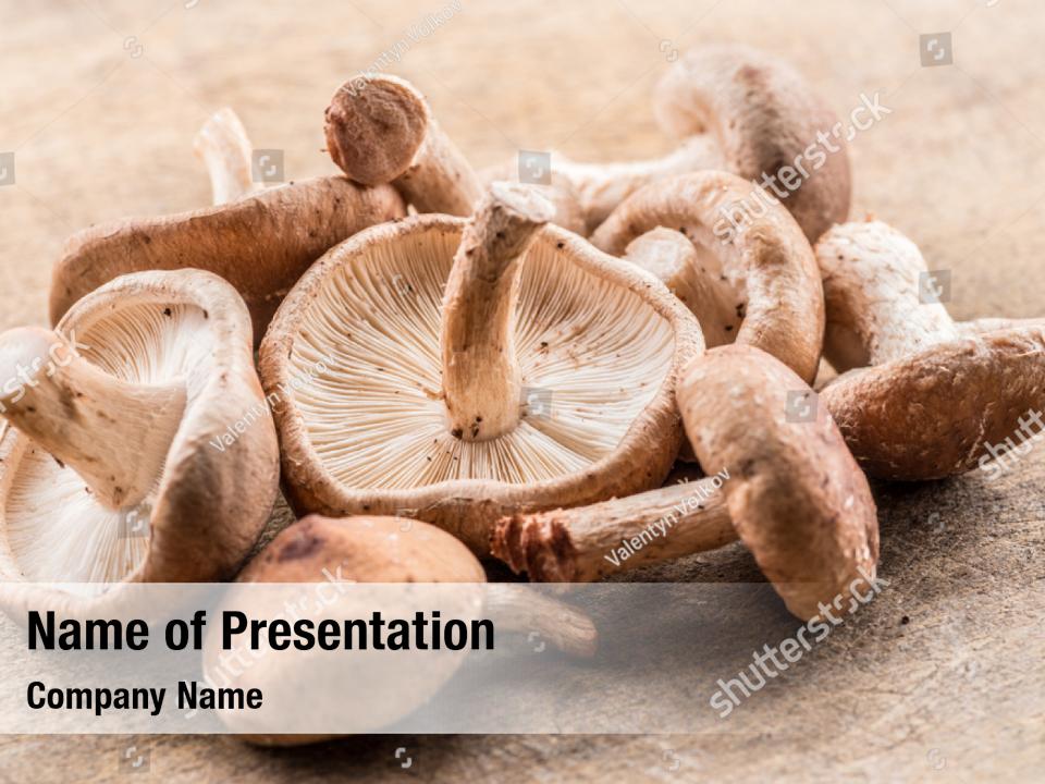 cultivated-mushroom-shiitake-mushrooms-on-the-wooden-powerpoint