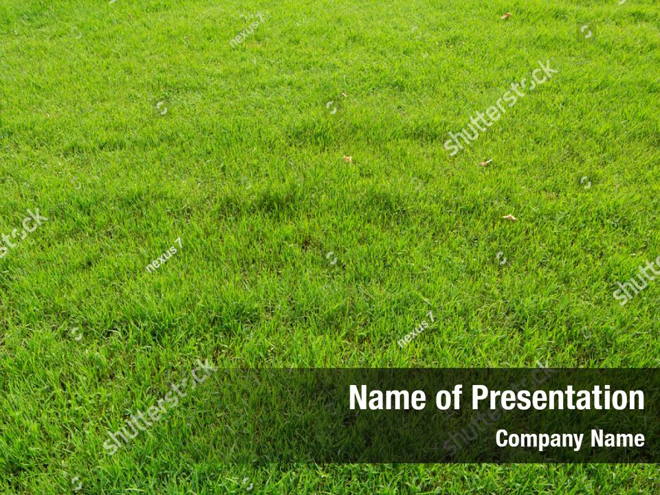 turf-green-grass-grass-powerpoint-template-turf-green-grass-grass