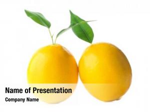 Lemons PowerPoint Templates - Lemons PowerPoint Backgrounds, Templates ...