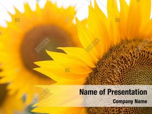 Horticulture PowerPoint Templates - Horticulture PowerPoint Backgrounds ...