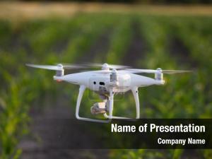 Field drone corn  