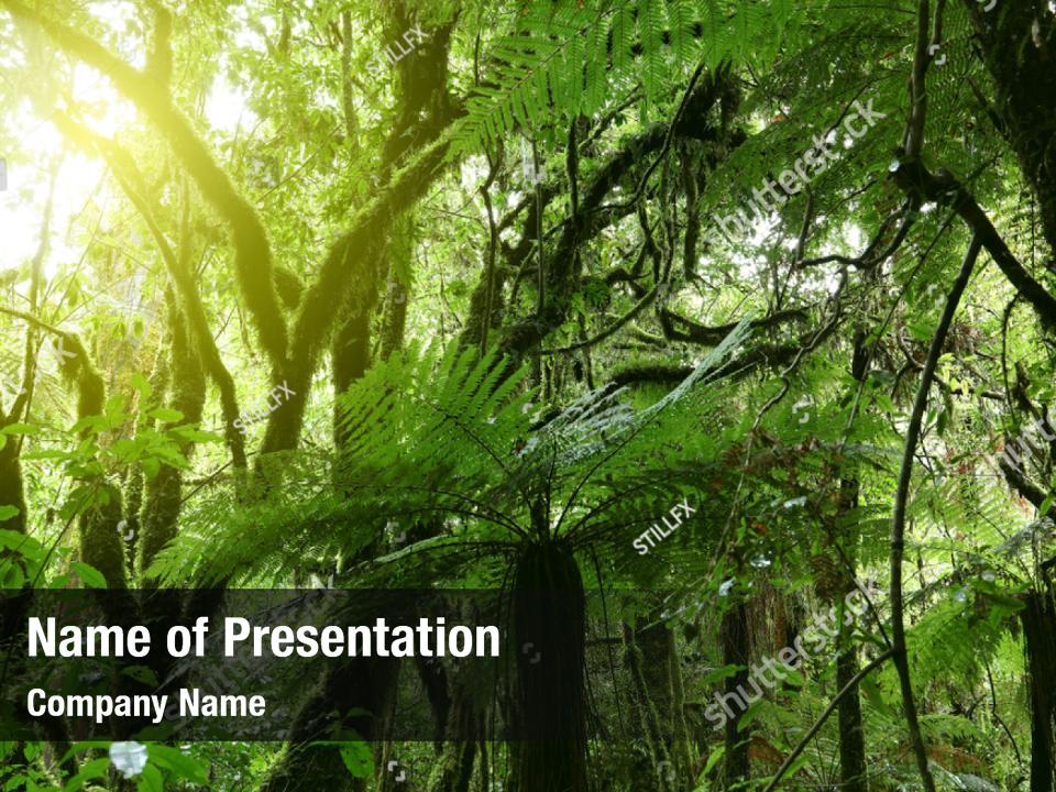 Tropical jungle foliage lush green PowerPoint Template - Tropical