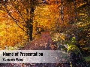 Sunny Landscape PowerPoint Templates - Sunny Landscape PowerPoint ...