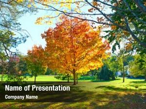 Neighborhood PowerPoint Templates - Neighborhood PowerPoint Backgrounds ...