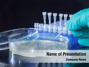 Bacterial Infection PowerPoint Templates - Bacterial Infection ...