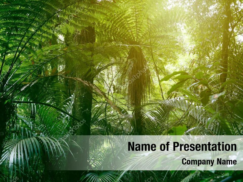 Foliage lush green tropical jungle PowerPoint Template Foliage lush