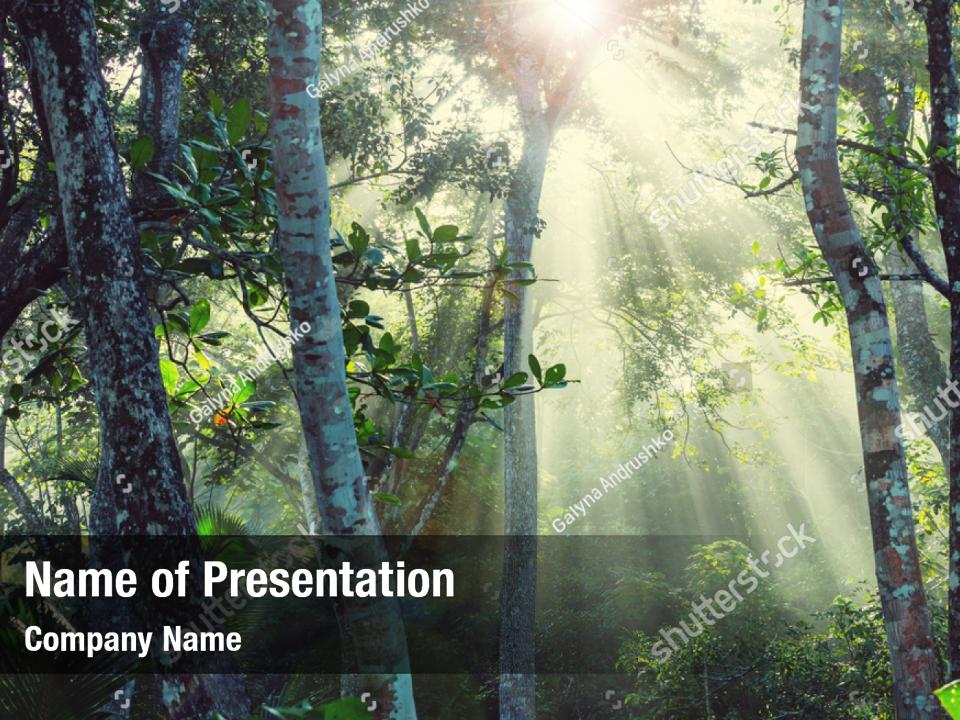 Rainforest powerpoint background PowerPoint Template - Rainforest