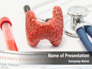 Thyroid anatomical model gland, stethoscope PowerPoint Template