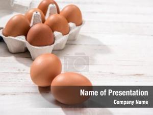  PowerPoint Template