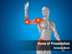 Man conceptual human anatomy upper PowerPoint Template