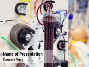 Medical blood purification procedure (dialysis) PowerPoint Template