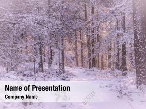 Winter PowerPoint Templates - Winter PowerPoint Backgrounds, Templates ...